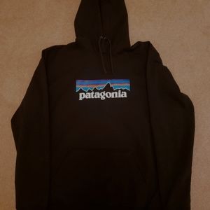 Patagonia XL Hoodie